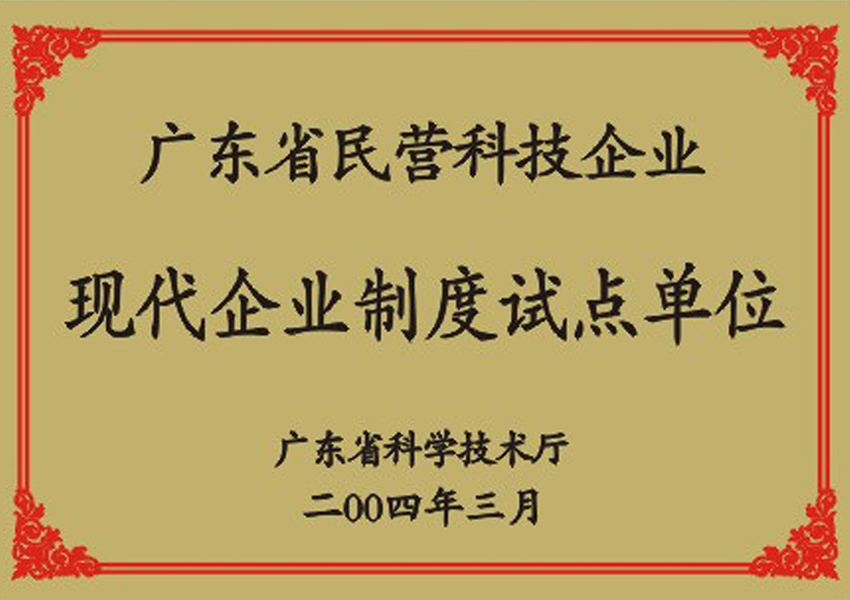 2004年广东省民营科技企业现代企业制度试点单位证书