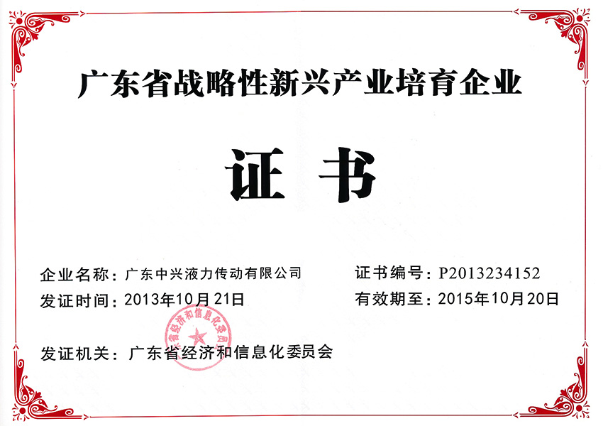 2013年广东省战略性新兴产业培育企业证书
